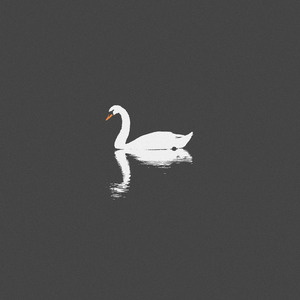 欧美成人做爱视频
